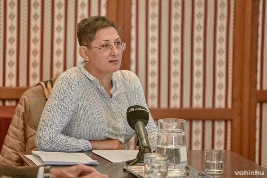 Brányi Mária a sajtótájékoztatón