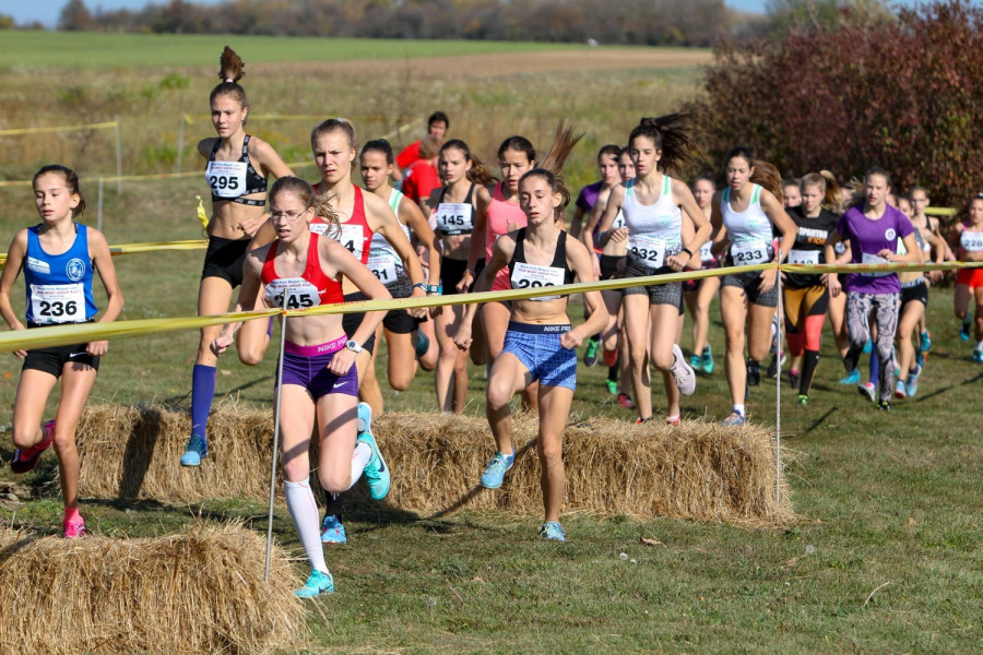 Közel félezer futó vett részt az eseményen - Fotók: VEDAC - Wolf Attila