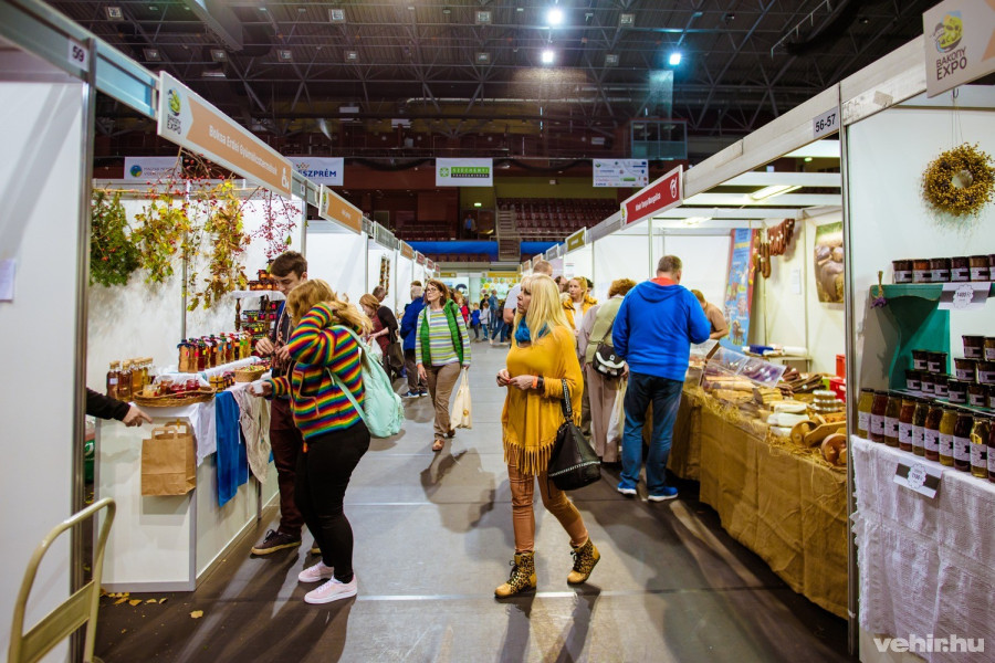 Pillanatkép a tavalyi évről