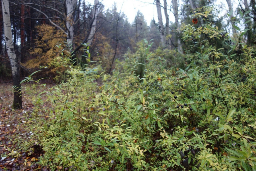 Fotók: Ebinger Mónika