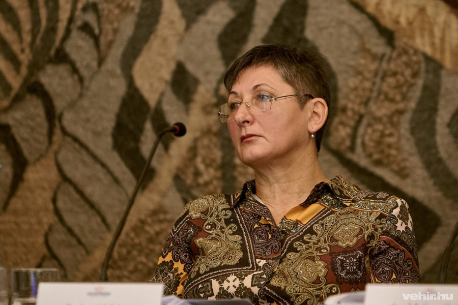 Veszprém jelentős idegenforgalmi bővüléssel számolhat Brányi Mária szerint