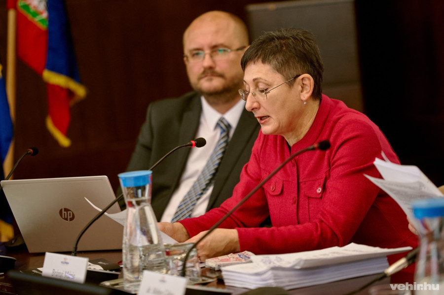 A nemzetközi projektekről Brányi Mária tájékoztatott