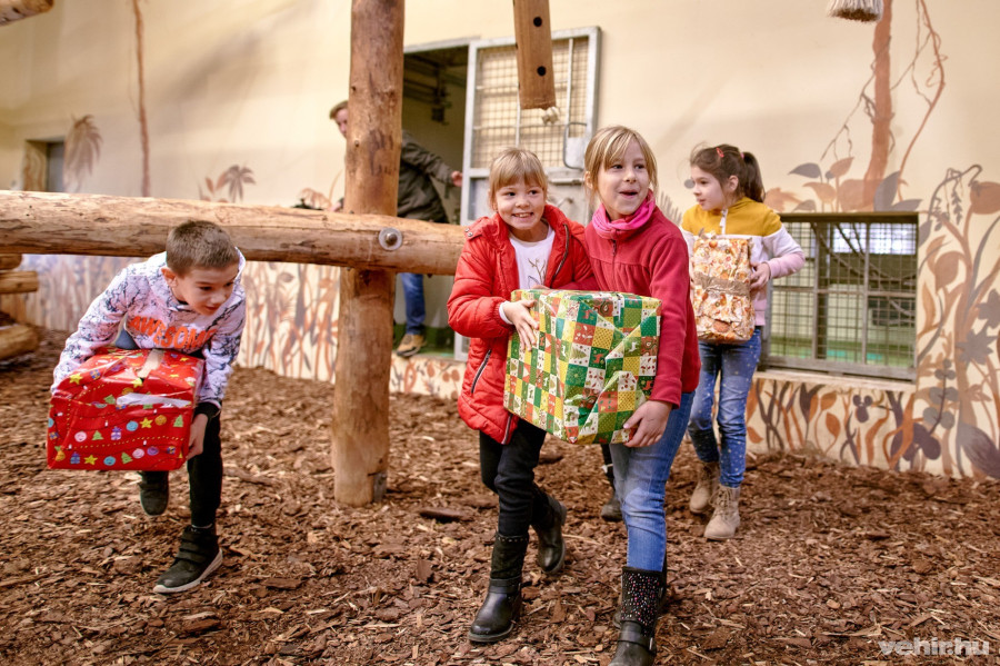 Kik az izgatottabbak? A karácsonyi manók vagy az állatok? 