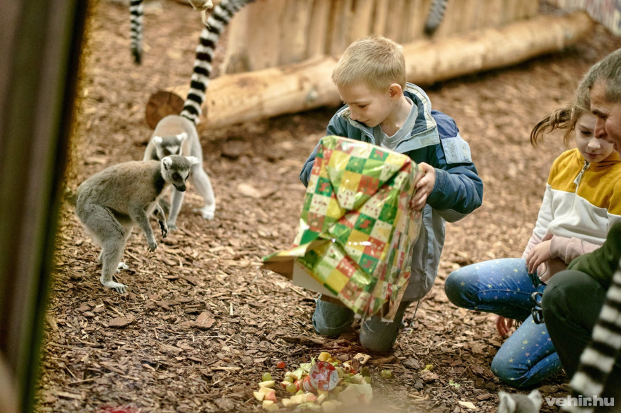 A maiknak kellett egy kis segítség a kicsomagolásnál