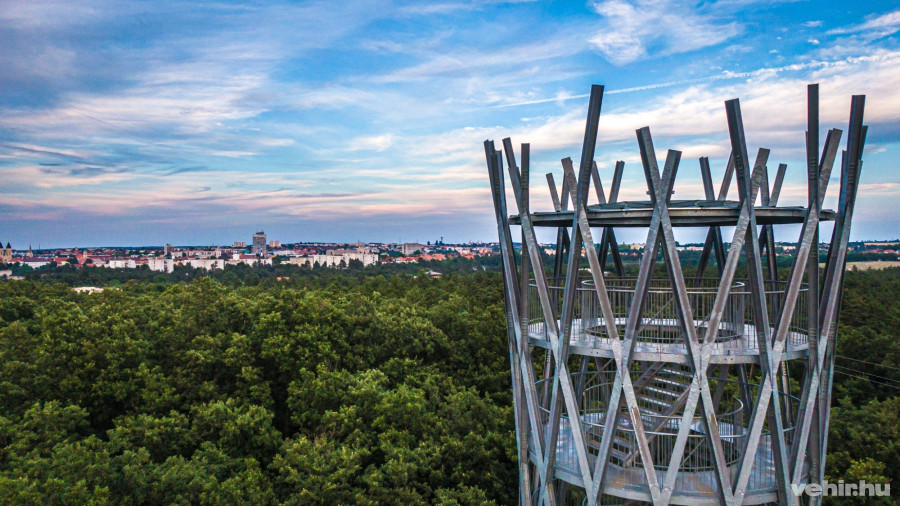 Veszprém megye közel 1/3-a erdős terület