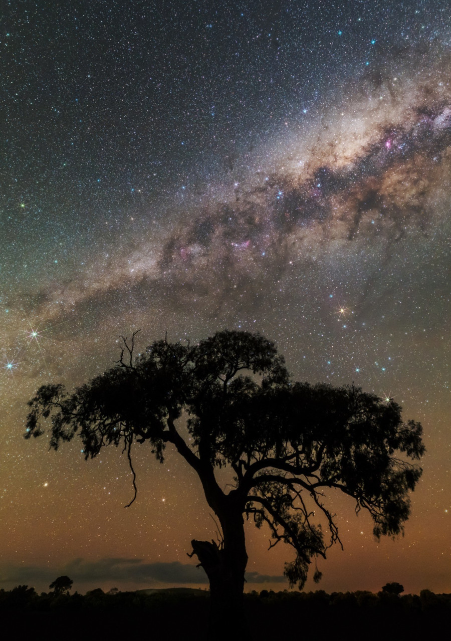 Fotó: Ladányi Tamás