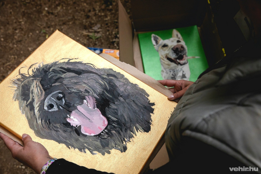 Az összes menhelylakó kutyáról készült egy alkotás