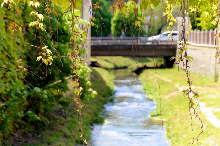 A veszprémi Séd nem tartozik a legveszélyesebb folyóvizek közé, de a történelem során többször kiöntött már ő is