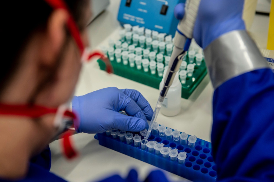 Mintákat tesztelnek egy laboratóriumban (fotó: MTI)