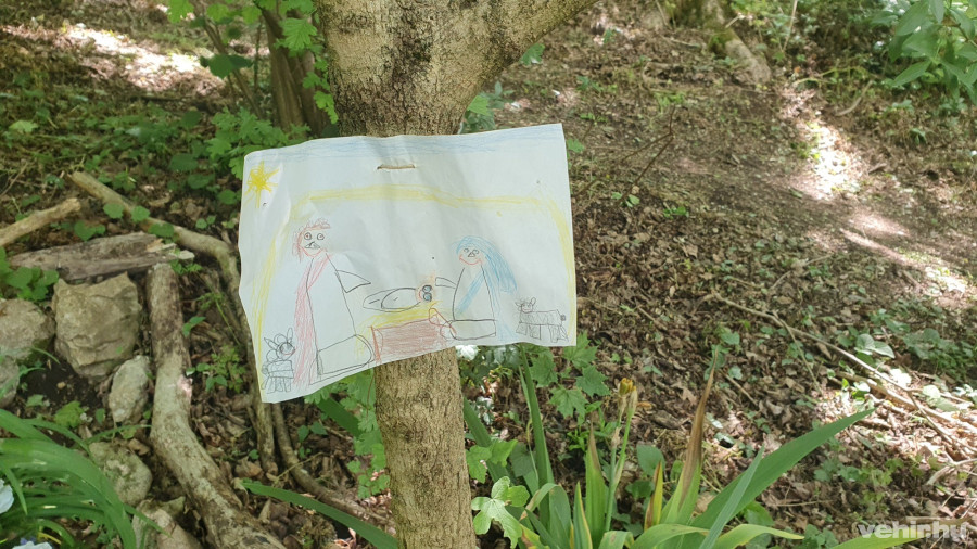 Még gyermekrajzok is kikerültek a fatörzsekre