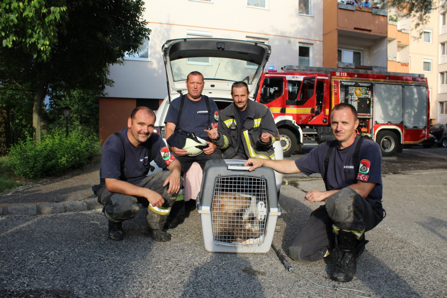Fotó: Csondor Henrietta