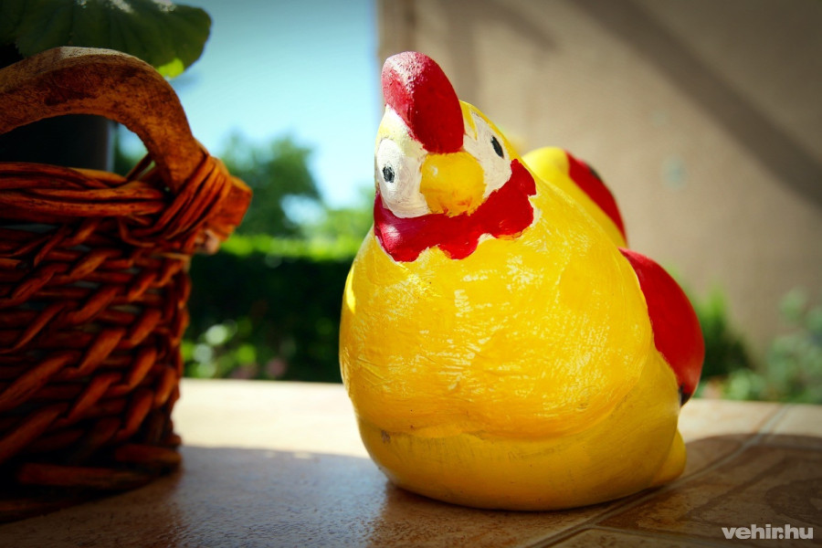 az egyik "kertőrző"  