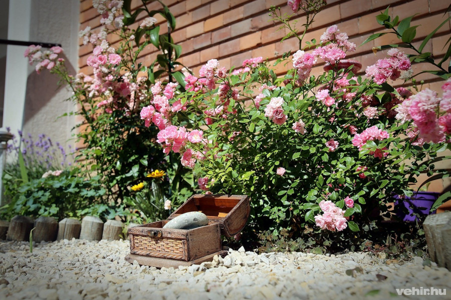 ékszeres doboz a bokor tövében