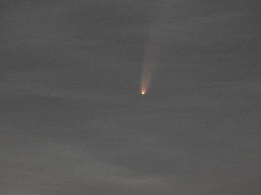 A C/2020 F3 (NEOWISE) a hajnali égen [saját fotó]