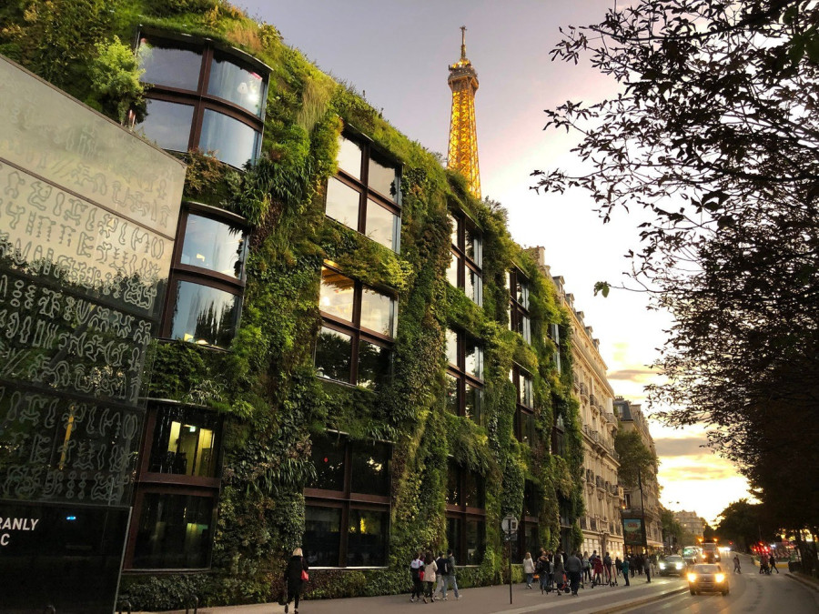 Musée du Quai Branly/ Fotó: verticalgardenpatrickblanc.com
