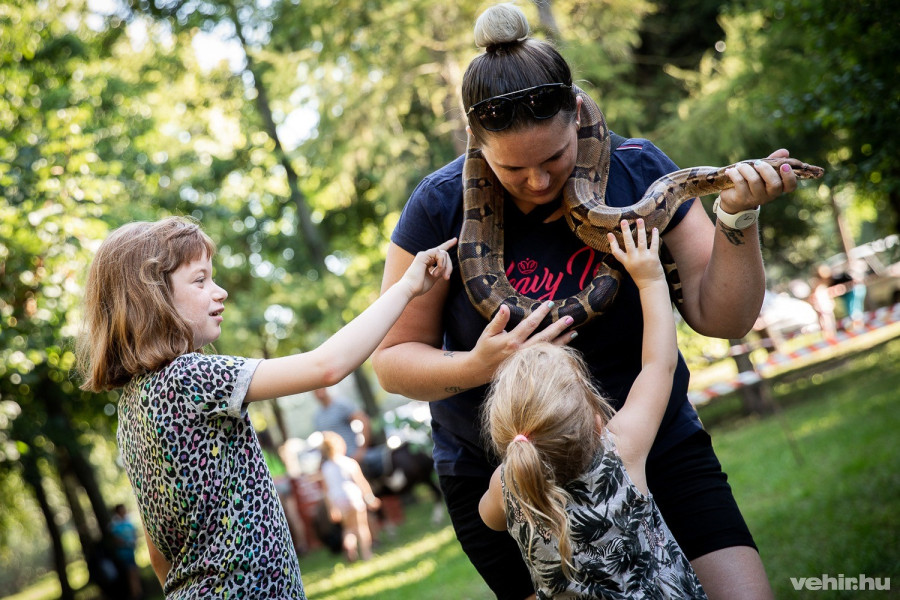 Az állatsimogatóban akár kígyóval is barátkozhattak a gyerekek