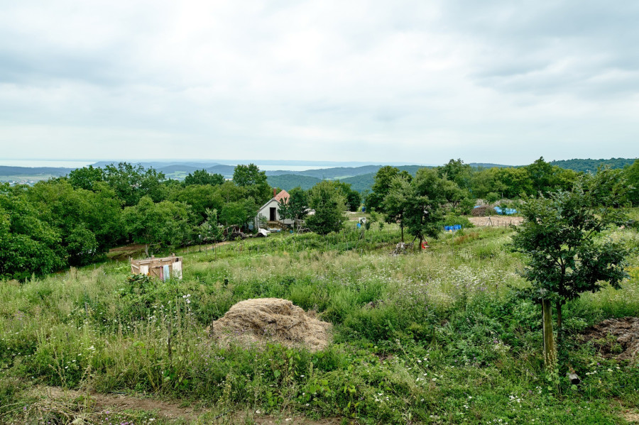 Hideg-hegyi Menedék / Fotó: Domján Attila