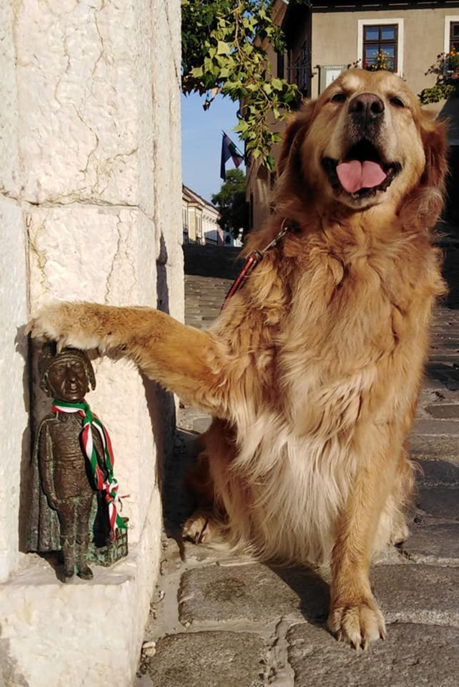 Ezt valóban érdemes látni Veszprémben