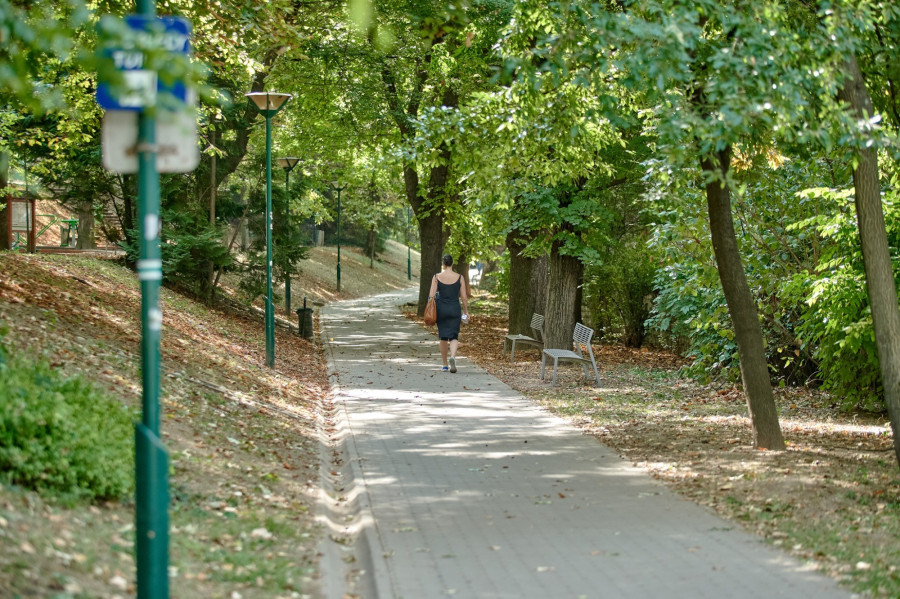 Komoly fejlesztésre vár az Erzsébet-liget