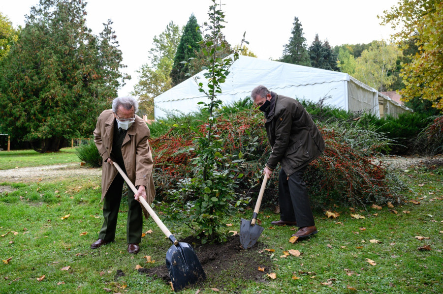 Czebei Sándor, a Bakonyerdő Zrt. korábbi vezérigazgatója (b) és Szentpéteri Sándor, az Agrárminisztérium erdőkért felelős helyettes államtitkára fát ültet (fotó: MTI)