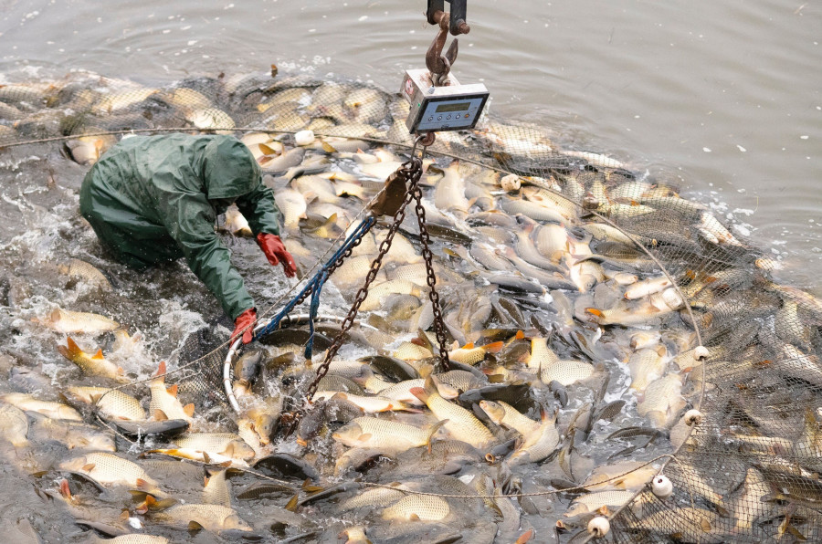 Illusztráci: MTI, archív