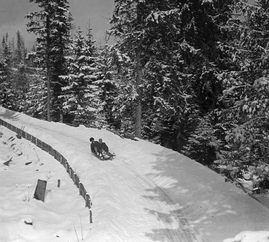 Adományozó: Schoch Frigyes