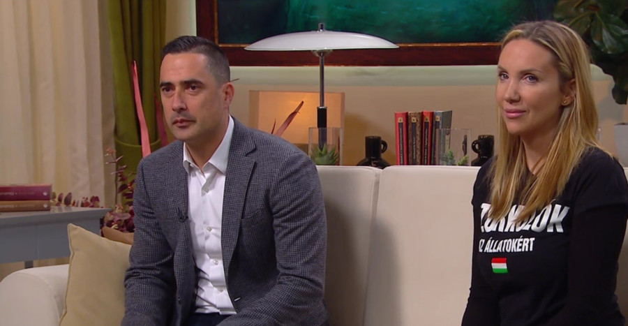 Ovádi Péter és Kapócs Zsóka a TV2 Mokka című műsorában kedd reggel