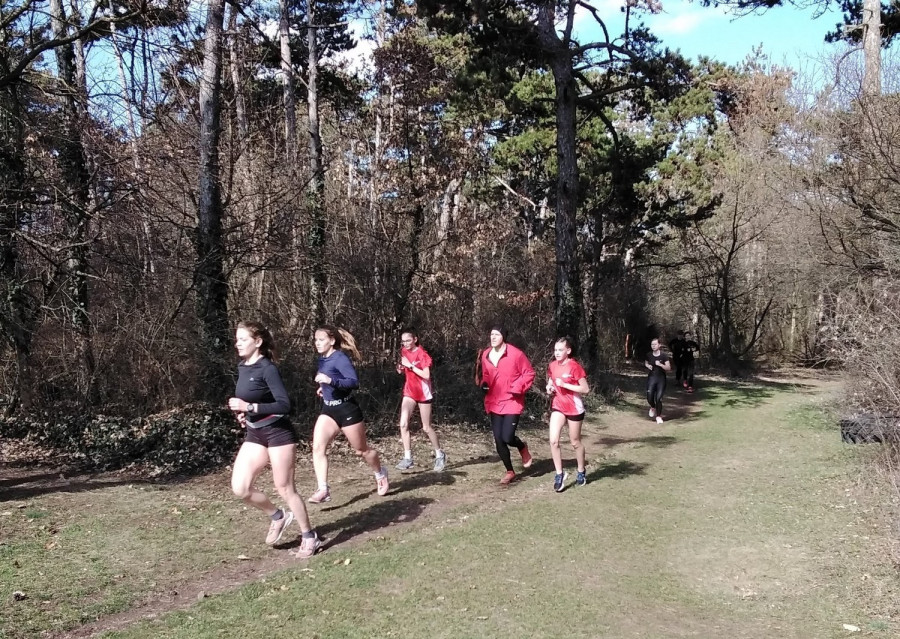 Fotó: Németh Zsoltné Bors Melinda