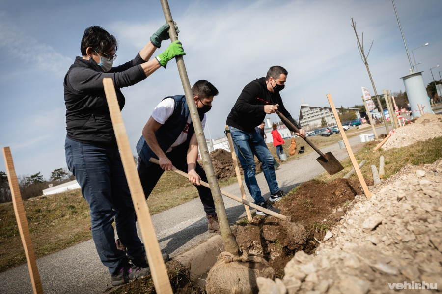 Brányi Mária és Ovádi Péter is elültettek egy-egy fát