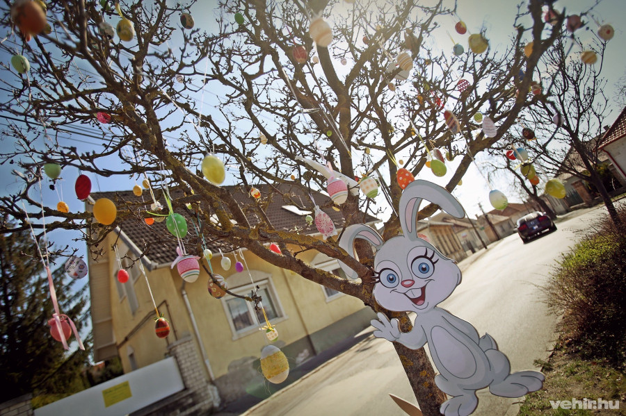 A veszprémi tojásfa