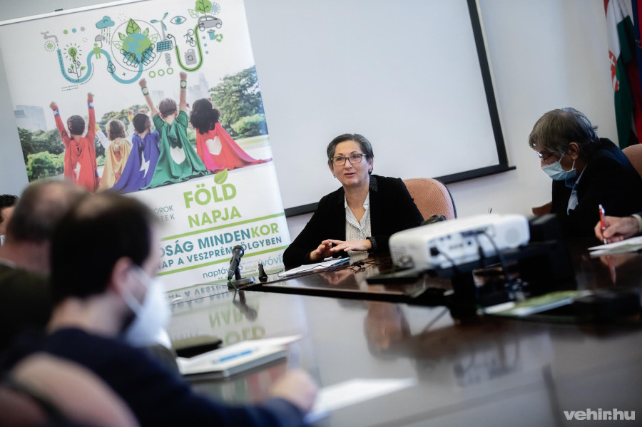 Brányi Mária, alpolgármester