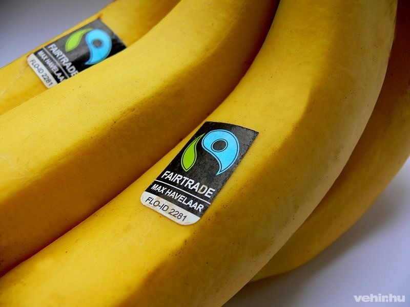 Kép: sustainweb.org