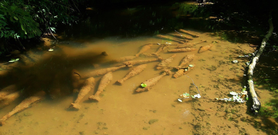 Fotó: Magyar Honvédség