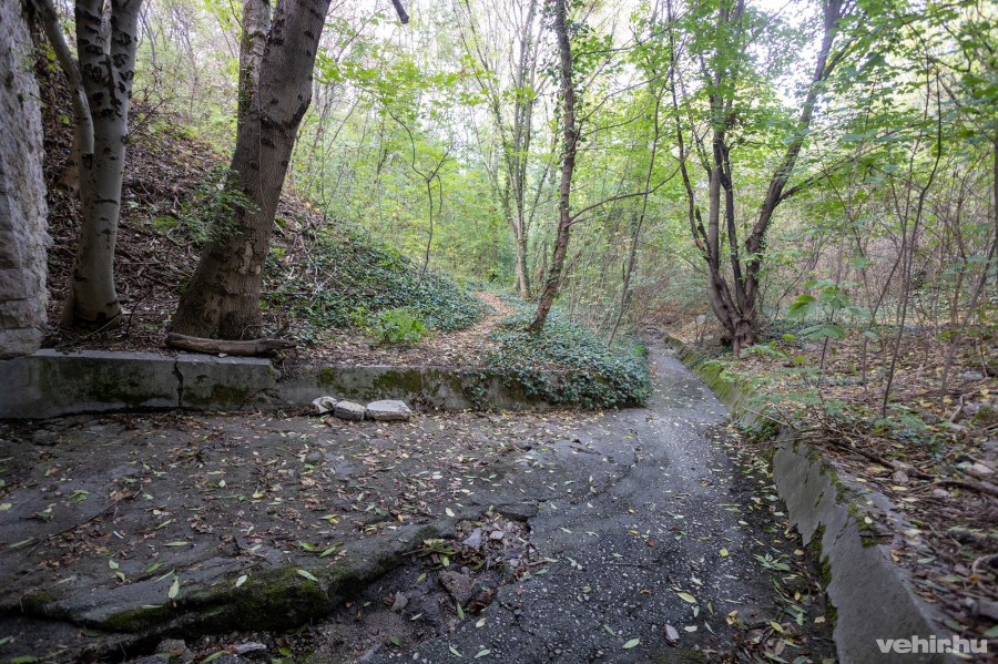 A Kittenberger Kálmán utcáról indulva ilyen út vezet fel az alagútig.