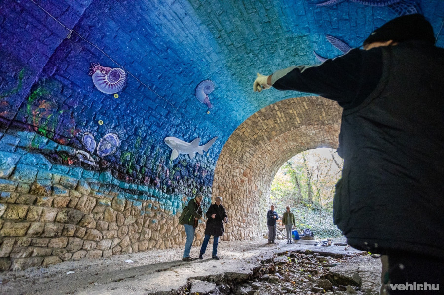 Ottjártunkkor Bontó László helytörténész mesélt a falon látható élőlényekről. A tervek szerint hamarosan táblák is mesélnek az egykor Veszprém területén élt állatokról.
