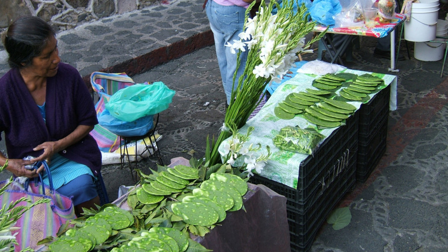 Nopal árus Tepoztlanban