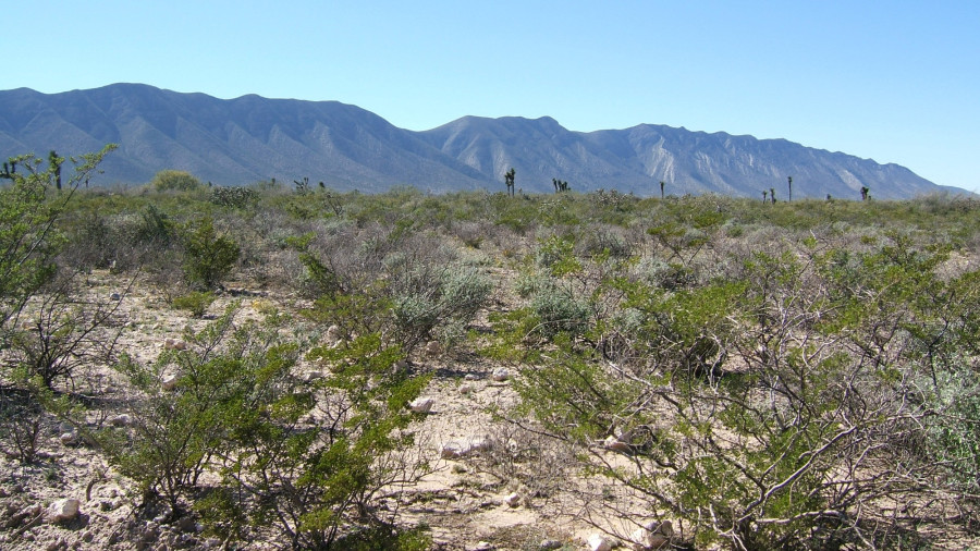 A sivatag: sokkal élettel telibb, mint a Szahara