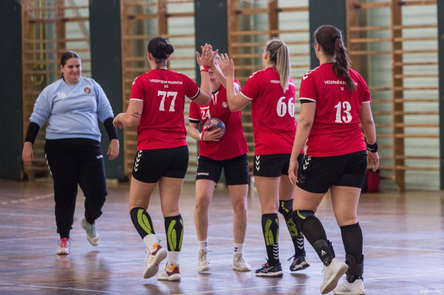 Több sebből vérezve is két vállra fektette legnagyobb riválisát a VPSE (archív fénykép)