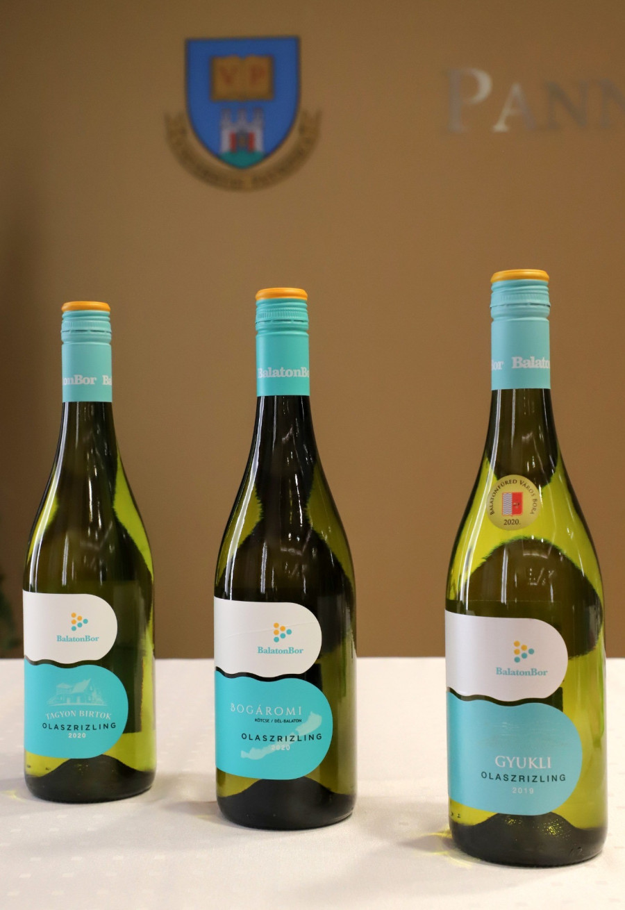 Fotó: Szabó László/ Pannon Egyetem