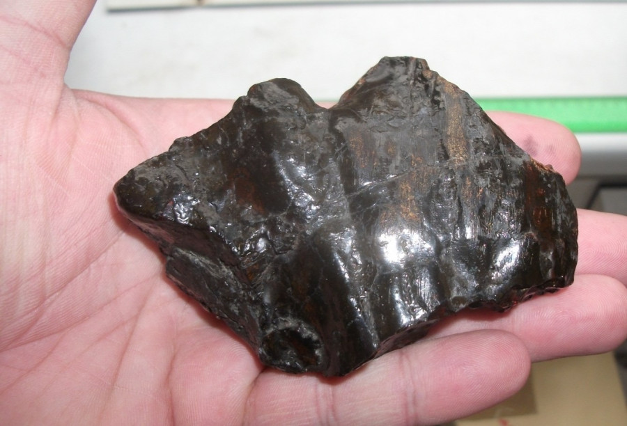 A tudomány által eddig vizsgált legnagyobb ajkait darab, amely megkövesedett kréta időszaki gyanta (Forrás: Szabó Márton)