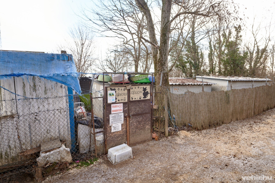 Az egyesület jelenlegi menhelye 