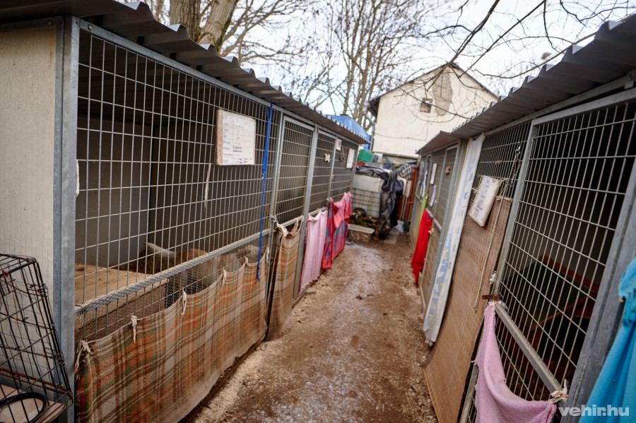A hely szűkös, de az állatok mindent megkapnak, amire szükségük van