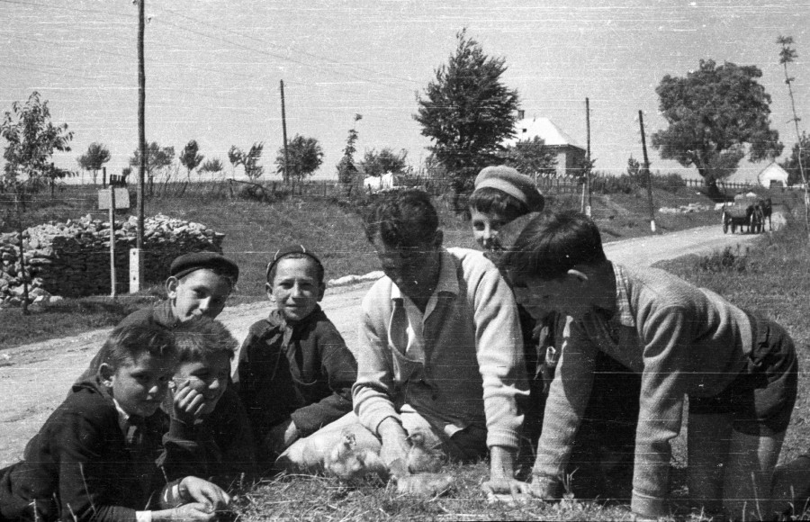 Fotó: Lipovits Károly / Fortepan, 1956