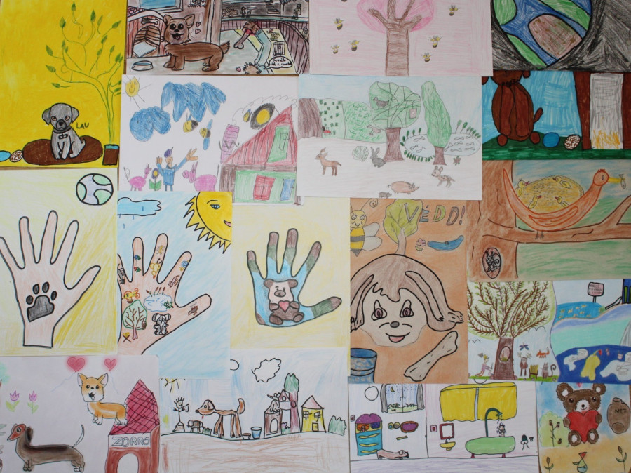 Fotó: Veszprémi Rendőrkapitányság