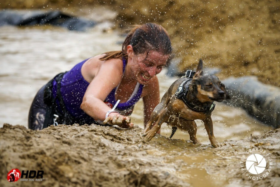 Fotó: harddograce.hu (archív)