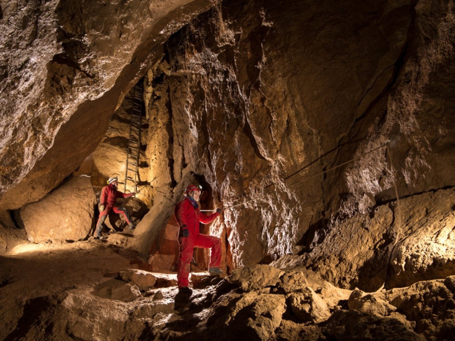 Fotó: Balaton-felvidéki Nemzeti Park Igazgatóság (bfnp.hu)