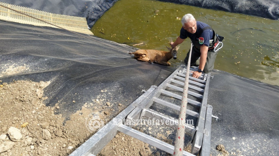 Fotó: Balatonfűzfő HTP