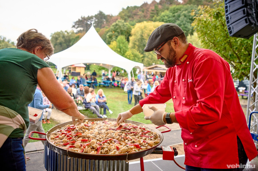 Fotó: Domján Attila / vehir archív