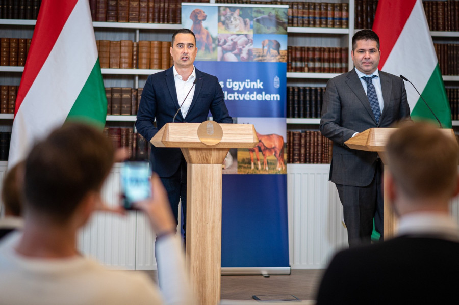 Fotó: Véssey Endre (IM)