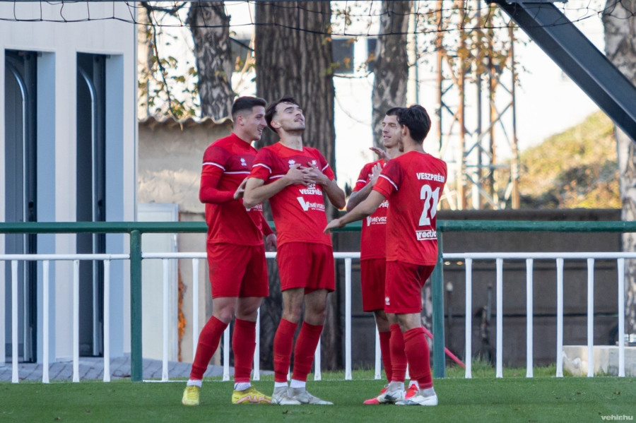 Könnyedén nyert a Veszprém (archív fénykép)